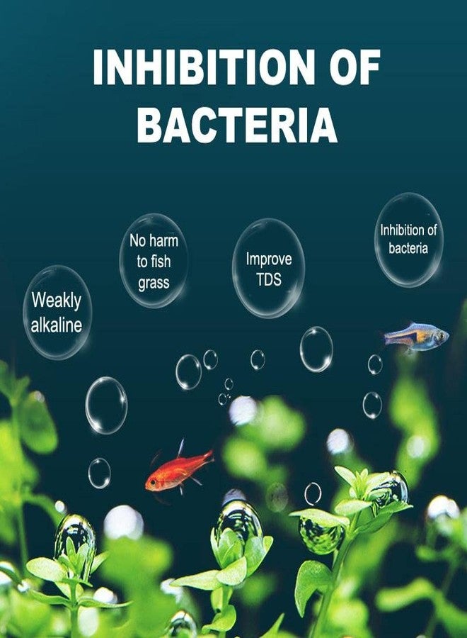 VAYINATO Aquatic Remedies Chlor Away Aquarium Fish Tank Water Chlorine Remover Water Conditioner (100ML) - Image 4